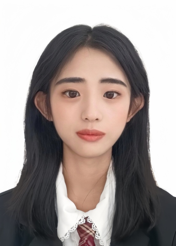 美术,历史,政治,语文